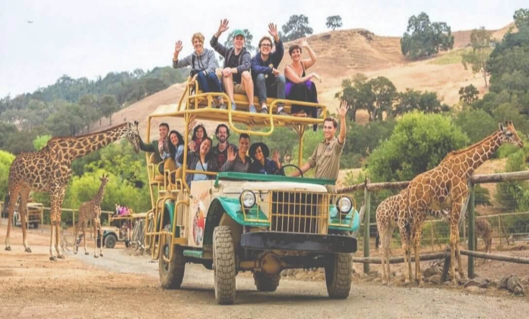 Safari-Park Jeep-Tour -Wine.jpg